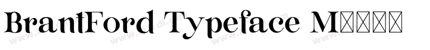 BrantFord Typeface M字体转换